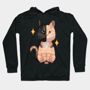 Chimera cat Hoodie